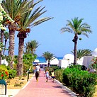 Sidi Slim Hotel: garden