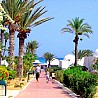 Romance Sidi Slim: photo 2
