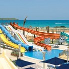 Magic Life entertainment Magic Life entertainment